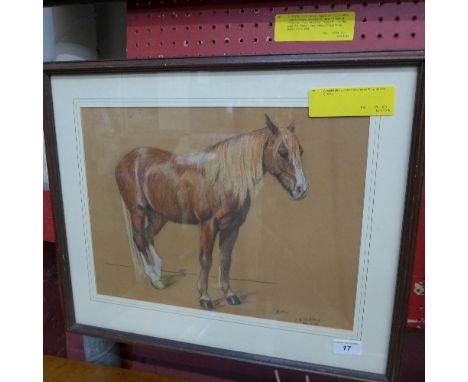 A pastel study portrait of a horse 'Kitty' by J.H. Shelley