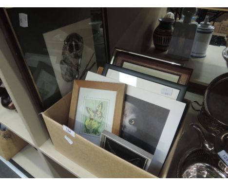 A selection of Animal prints and pictures including original Joan Bradley sketch 'slow Loris'
