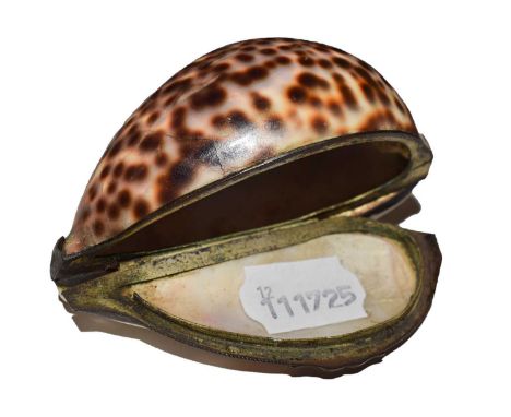 A Metal-Mounted Cowrie Shell Snuff-Box the naturalistically formed shell with plain metal mounts