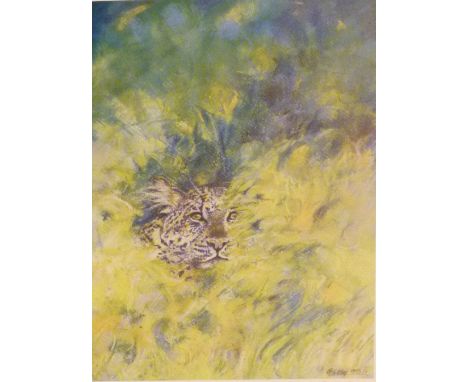 LIMITED EDITION PRINT. Limited edition print In Hiding signed by the artist Philip Galley