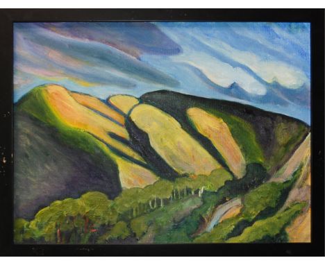Susan K. Guy Oil  On Canvus Santa Cruz Island H:13in(33cm) W:17in(43.1cm)