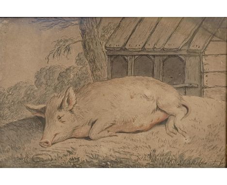 Herr K Willen Setheiekhart (1746-1797), a sow, watercolour, 22 x 22 cm Provenance: On instructions of the Executors - From th