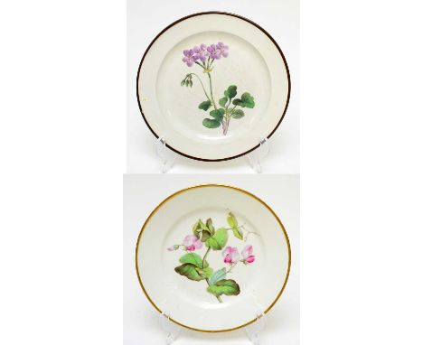 A Derby porcelain botanical plate, circa 1810, painted with 'Sweet Pea' within a gilt lined rim, titled to the reverse and De