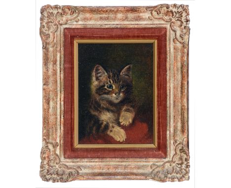 Wilson Hepple(1854-1937)Portrait of a tabby kitten, signed and dated 1908; indistinct pencil inscription verso, oil on board,