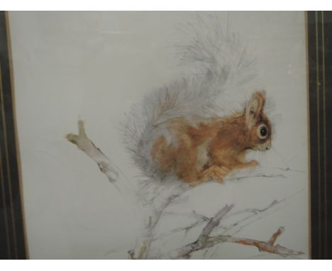 A print of a red squirrel