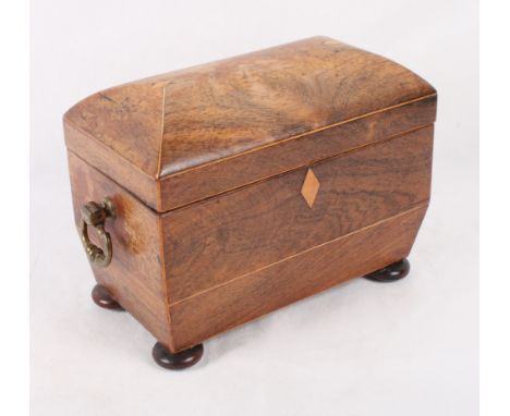 A Regency rosewood dome top tea caddy with gilt brass carry handles on bun feet, 8" wide