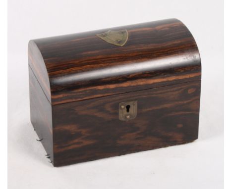 A 19th Century coromandel two-division dome top tea caddy, 7" wide