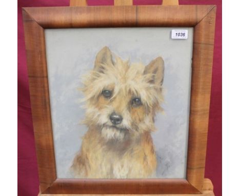 *Arthur Wardle (1864 - 1949), pastel - portrait of a terrier, signed, in glazed frame, 40cm x 35cm CONDITION REPORT Very good