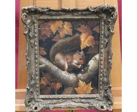 Good quality 20th century oil on panel in gilt frame - study of a squirrel in a tree, 25cm x 19.5cm