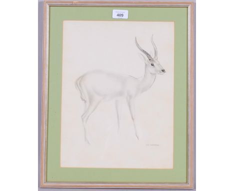 John Rattenbury Skeaping (1901-1980), lithograph on paper, Antelope, signed in the plate, 35.5cm x 27.5cm, mounted, glazed an