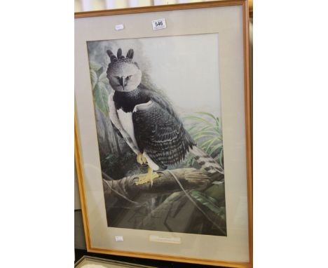 *Limited edition framed 20th century print of a harpy eagle ***Please note that VAT is applicable to the hammer price of this