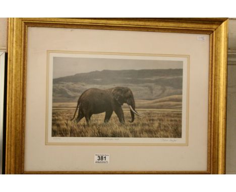 Stephen Gayford signed ltd edn wildlife print of a bull elephant no.165 of 550 