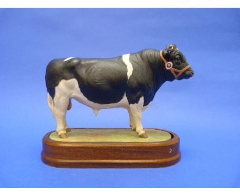 A Royal Worcester British Friesian Bull, modelled by Doris Lindner, limited edition, on oval wood plinth, overall 8½in (21.5c