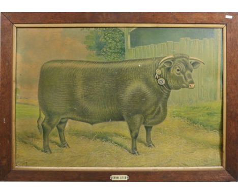 A large oak framed print depicting Devon Steer bull.