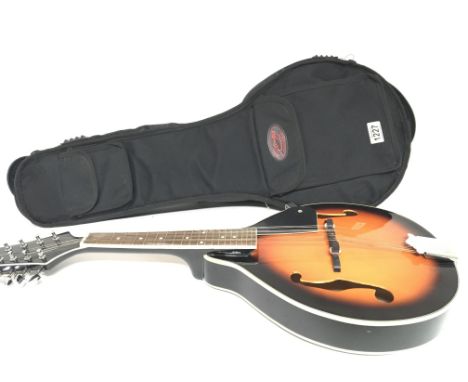 A Stagg Bluegrass Model M20s Mandolin in very good condition with a stagg canvas case.