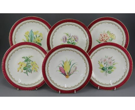 A set of six mid to late-nineteenth century porcelain hand-painted floral plates, c. 1850-70.  Each is decorated with a centr