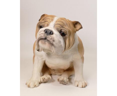 A collection of Wade Ceramic Northlight Figure of English Bulldog, height 22cm. These were removed from the archives of the W