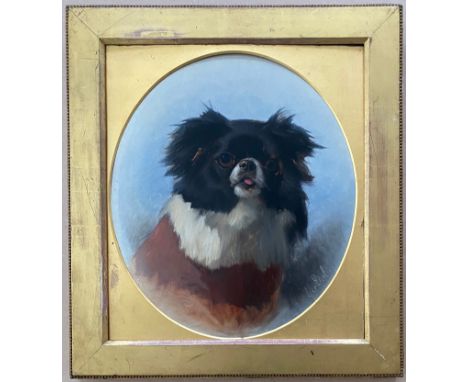 GEORGE EARL 1824-1908 OIL ON BOARD - PORTRAIT OF A PEKINGESE 45CM X 63CM - VERY GOOD CONDITION - NO OBVIOUS SIGNS OF RESTORAT