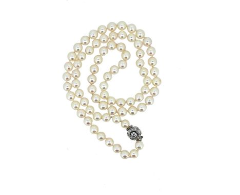 seventy-six off-round light cream pearls, diameter from 7.1 to 7.5mm, strung knotted to a white metal floral clasp with a cen