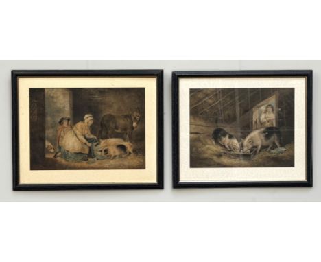 Two 19th c. prints depicting feeding pigs, 35 x 49 cm.