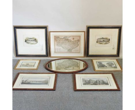 A print of a salmon, 23 x 31cm together with another of a trout, a map of Kent, four other pictures and a wall mirror (8)