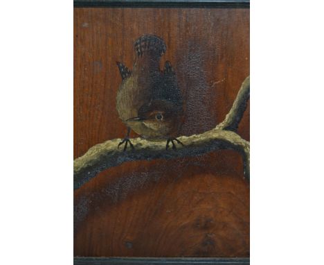 Two oil paintings on panel, studies of birds, signed with monogram B.W.E., together with a 19th Century maple framed photogra