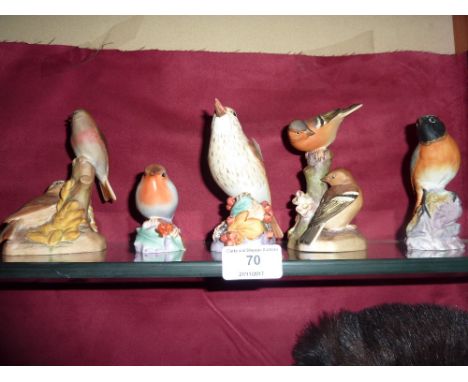 Five various Royal Worcester bird ornaments 