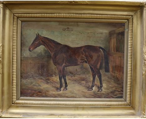 W. Wasdell Trickett, oil on canvas, portrait of the steeplechase winner 'Platonic', signed and dated 1913, 24 x 33cm, with fo