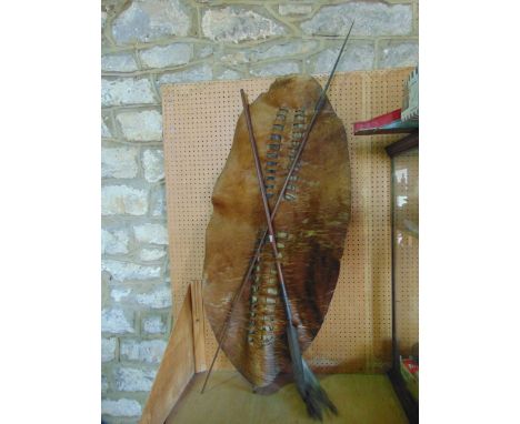 A Zulu type hide shield of oval form presented with crossed timer shafted spears with applied iron heads, 140 cm high approx