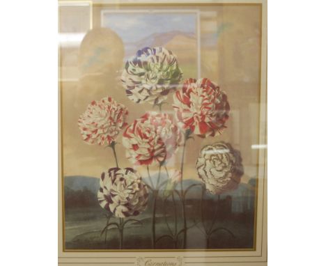 A set of four gilt framed reproduction botanical prints entitled Carnations, Roses, Tulips, and Rhododendron, each 45x36cm