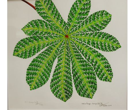 Ed Munn - Cecropia leaf II, lithograph, signed and titled in pencil, numbered 2/75, 37 x 37cm