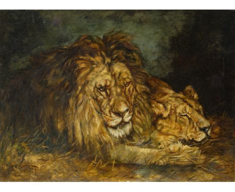 Lion and Lioness oil on canvas55.5 x 76 cm (21 7/8 x 29 7/8 in.)unframedsigned illegibly  R.A. Ostrymans lower leftCONDITIONU
