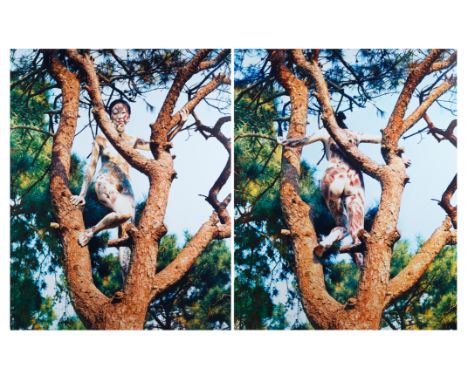 Pinaster Landscape Diptych 2007c-print on poster board144 x 113.5 cm (56 3/4 x 44 3/4 in.)unframedeach signed, dated, titled 