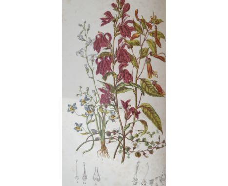 Twining, Elizabeth. Illustrations of the Natural Orders of Plants with Groups and Descriptions, 2 volumes, first octavo editi