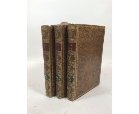 Smith, James Edward. A Sketch of a Tour on the Continent, in the Years 1786 and 1787, 3 volumes, first edition, without half-