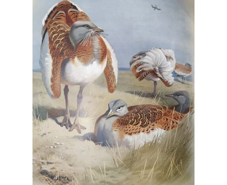 Thorburn, Archibald. British Birds, 4 volumes, first edition, half-titles, 80 coloured plates, tissue guards, original cloth,