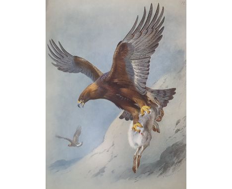 Thorburn, Archibald. British Birds, 4 volumes, first edition, half-titles, 80 coloured plates, light spotting, original cloth