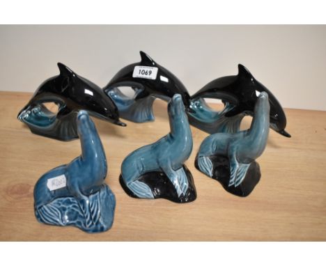 Six Poole animal studies, three dolphins and three seals