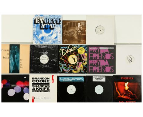 A collection of 1980's/90's Electronica LPs and 12" Singles . Includes artists: Pressure Of Speech, Brandon Cooke, Ladytron, 