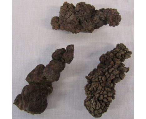 3 pieces of coprolite (Dinosaur/fossil faeces)