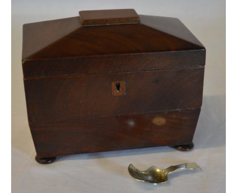 Tea caddy with spoon (AF)