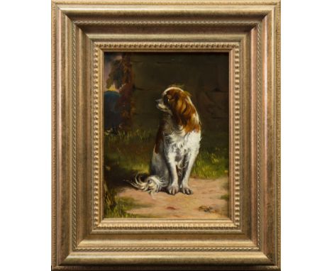 SCOTTISH SCHOOL,PORTRAIT OF A KING CHARLES SPANIELoil on board, signed indistinctly "M R A"26cm x 20cmFramed