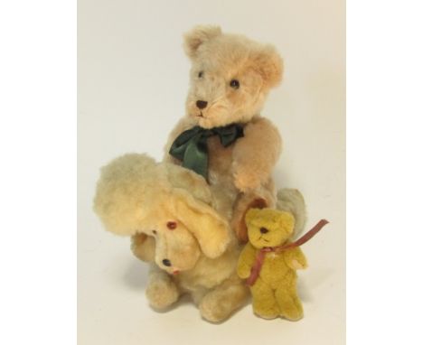 A German teddy bear 1910-1920s, with golden yellow mohair, closely