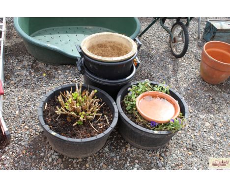 Two garden potted plants in plastic barrel pots and three plastic trugs, another ceramic plant pot and plant tray