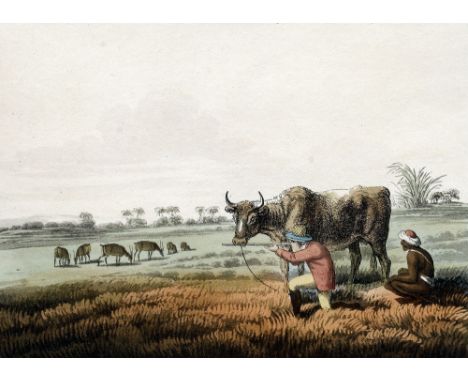 MATTHEW DUBOURG (18th/19th century) British, After JOHN HEAVISIDE CLARK (circa 1771-1836) British, and others
A Set of Ten Wo