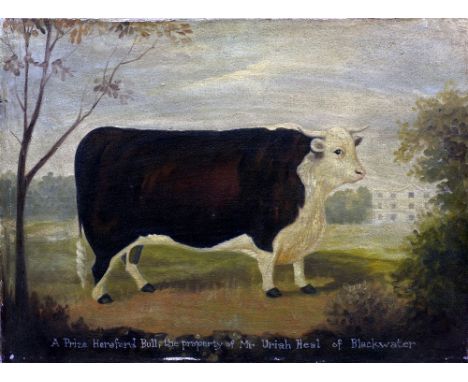 ENGLISH NAIVE SCHOOL 
A Prize Hereford Bull, The Property of Mr. Uriah Heel of Blackwater
Oil on canvas
Titled
61 x 45.5 cm, 