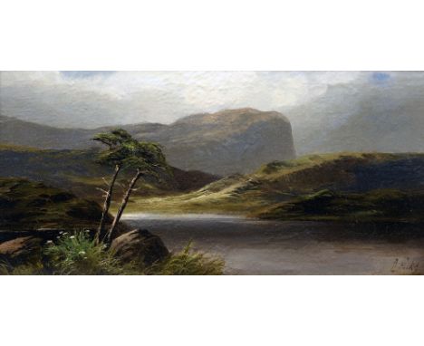 DAVID HICKS (19th/20th century) British
Highland Lock Scenes
Oils on board
Signed
38.5 x 18.5 cm, framed, (a pair) (2) CONDIT