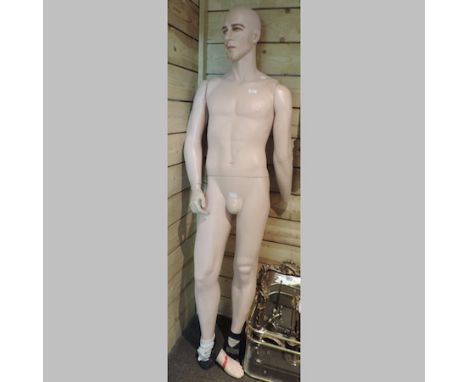 A male display mannequin, 186cm tall