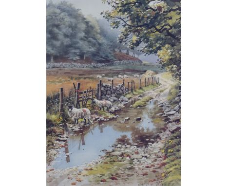 After Judy Boyes (British B.1943) a limited edition coloured print, entitled 'After Rain at Tiberthwaite' numbered 213/850 an