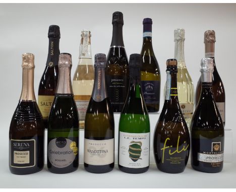 12 BOTTLES ITALIAN, SOUTH AMERICAN AND BRAZILIAN SPARKLING WINESerena Prosecco Doc Treviso Extra Dry; Salton Prosecco Brut; N